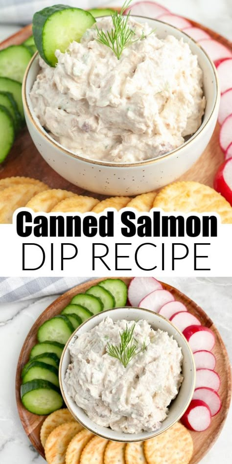 Can Salmon Dip Recipes, Fresh Salmon Dip Recipes, Salmon Dip Recipes Cream Cheese, What To Do With Canned Salmon, Canned Salmon Dip Recipes, Salmon And Cream Cheese Recipes, Easy Salmon Dip, Canned Salmon Dip, Salmon Dip Cream Cheese