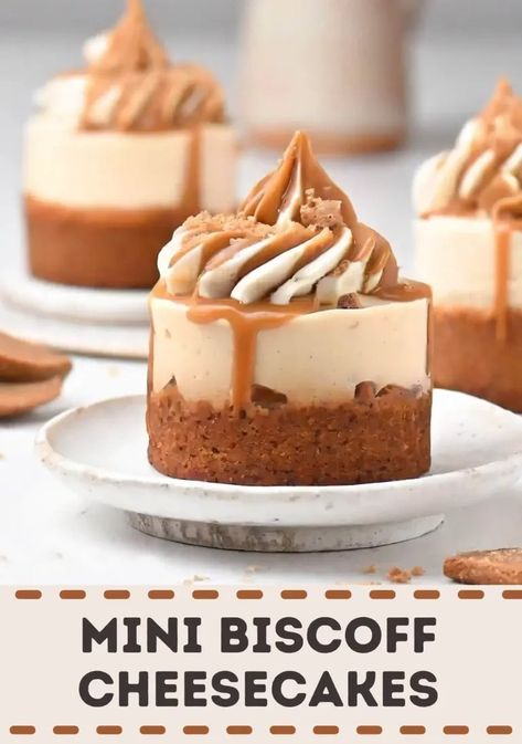 Mini Biscoff Cheesecakes Biscoff Cheesecake Mini, Mini Biscoff Cheesecake Recipes, Biscoff Mini Cheesecake, Biscoff Cheesecake Recipes, Mini Biscoff Cheesecake, Biscoff Cheesecake Cups, Cheesecake Deserts, Lavender Dessert, Cake Bars Recipe