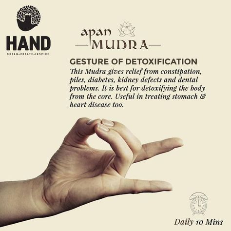 Apan Mudra, Healing Mudras, Mudras Hand, Mudra Hands, Gyan Mudra, Chakra Mantra, Hand Mudras, Yoga Facts, Heavy Metal Detox