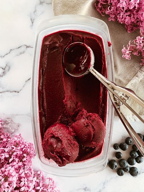 Acai Sorbet, Popsicles Recipes, Low Fodmap Recipes Dinner, Fodmap Recipes Dinner, Frozen Pops, Breakfast And Coffee, Frozen Acai, Berry Desserts, Lunch For Work