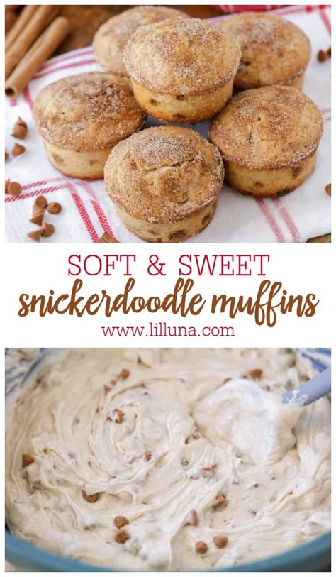 Soft and sweet Snickerdoodle Muffins taste just like their cookie cousin! They're a perfect grab-and-go breakfast or late-night snack. #snickerdoodlemuffins #snickerdoodle #muffins #breakfast Snickerdoodle Mini Muffins, Snickerdoodle Muffins Easy, Snickerdoodle Donut Muffins, Snicker Doodle Muffins, Grab And Go Desserts, Late Snacks, Muffins With Sour Cream, Snickerdoodle Muffins Recipe, Snickerdoodle Recipes