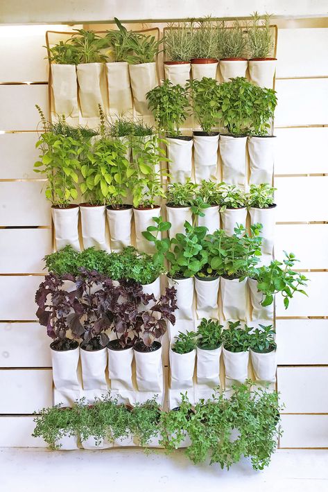 16 Best DIY Herb Garden Ideas You'll Obsess Over In 2019 Apartment Herb Gardens, Vertical Herb Gardens, Vertical Garden Indoor, Vertical Garden Design, Diy Herb Garden, Vertical Vegetable Garden, Herb Garden Design, Vertical Herb Garden, Vertical Garden Diy