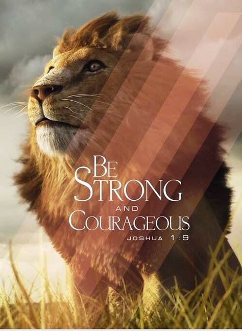 Joshua 1:9 Favorite Verses, Ayat Alkitab, Favorite Scriptures, Be Strong And Courageous, Lion Of Judah, Biblical Quotes, A Lion, Spiritual Inspiration, Be Strong