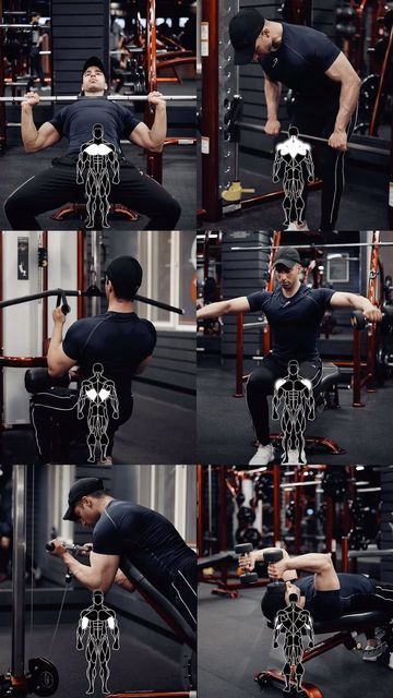 Spider Curls, Pull Day Workout, Pull Day, Lat Pulldowns, Back Workout Routine, Gym Workout Apps, Workout Gym Routine, Preacher Curls, Gym Workout Program