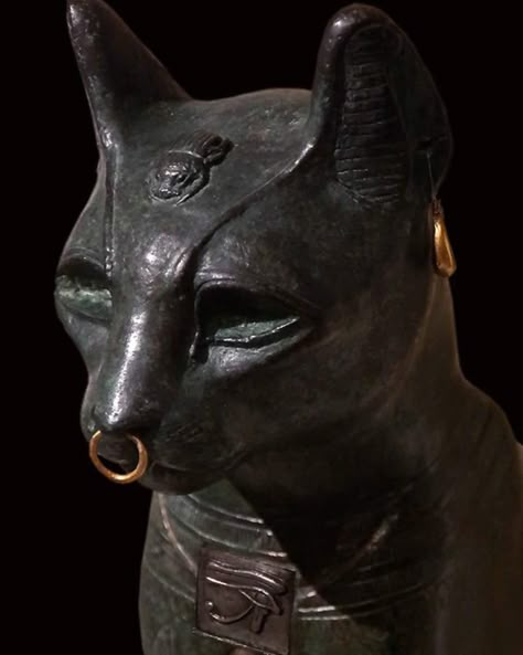 In Ancient Egypt, if your household cat died, the whole family would shave off their eyebrows in mourning, then take the cat to be mummified in Bubastis, the centre of worship for the feline goddess Bastet. Cat Died, Cats In Ancient Egypt, Pirates Skull, Goddess Of Protection, Bastet Goddess, Egypt Cat, Goddess Bastet, Ancient Egyptian Deities, Egyptian Deity