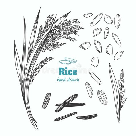 Straw Illustration, Chinese Sticky Rice, Sweet Sticky Rice, Chinese New Year Food, Mango Sticky Rice, Traditional Dishes, New Year's Food, Illustration Creative, Glutinous Rice