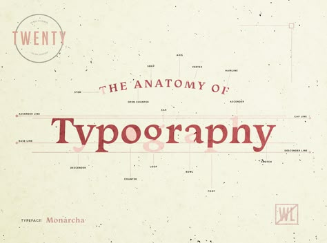 #typography #type #design #anatomy #monarcha #style #tones Typography Anatomy Poster, Type Anatomy Poster, Typography Anatomy, Anatomy Of Type, Anatomy Of Typography, History Of Typography, Type Anatomy, Fashion Magazine Design, Typography Book