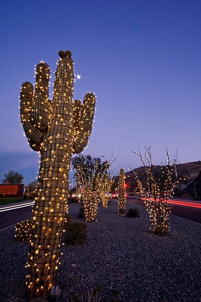 Cactus Christmas Lights Premium Pictures, Photos, & Images - Getty Images Cactus With Christmas Lights, Christmas In The Desert, Desert Christmas, Avenging Angel, Cactus Light, Cactus Christmas, Yard Inspiration, Spanish Bungalow, Kristen Ashley