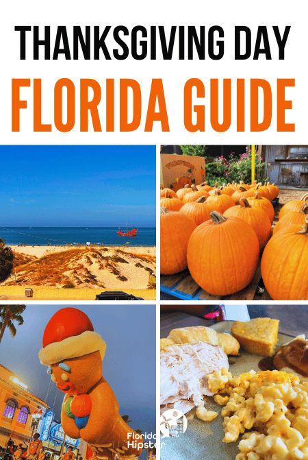 Travel Guide to the best things to do in Florida for Thanksgiving Day Weekend. Florida Thanksgiving, Fun Holiday Activities, Things To Do In Florida, Holiday Lights Display, Fall Bucket List, Christmas Tops, Sunshine State, Florida Vacation, Florida Travel