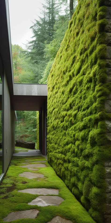 A tranquil outdoor space featuring a vibrant green moss wall, combining the captivating appeal of nature with modern design elements for a refreshing retreat. Moss Wall House Exterior, Vertical Moss Wall, Moss Cement Wall, Moss Brick Wall, Moss Wall Outdoor, Moss Architecture, Living Moss Wall, Green Wall Garden, Moss Planter