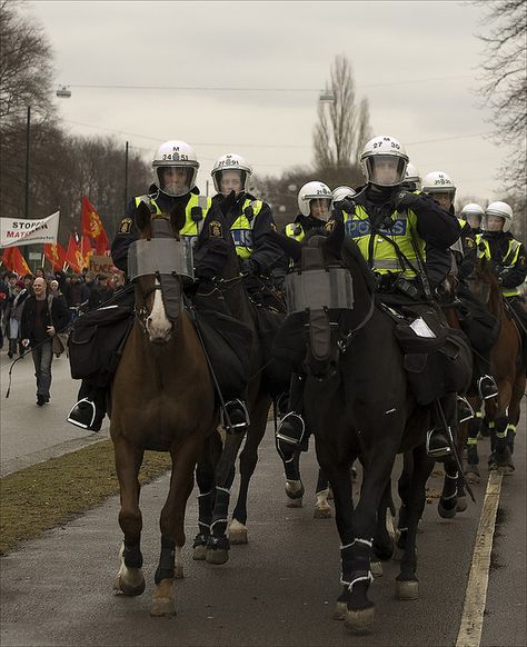 Mounted Police Horses, Cop Flag, Police Horse, Malmo Sweden, Mounted Police, Police Humor, Riot Police, All About Horses, First Responders