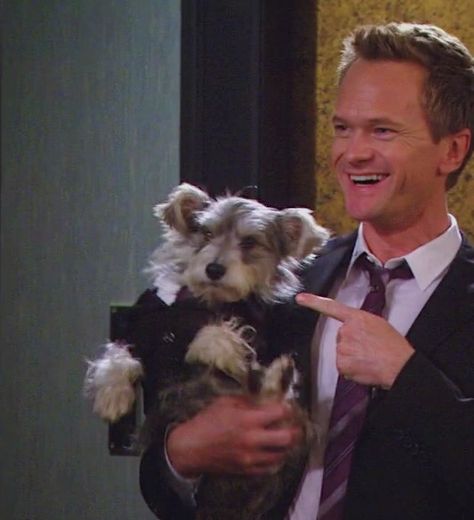 Legendary Barney, Ted And Robin, Barney And Robin, Robin Scherbatsky, How Met Your Mother, Barney Stinson, Ted Mosby, Neil Patrick Harris, How I Met Your Mother