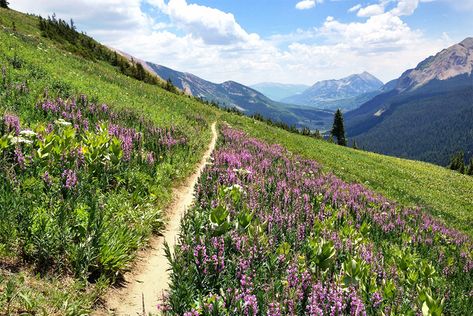 The Best Places to Photograph in Colorado | Loaded Landscapes Things To Do In Colorado, Best Family Vacation Spots, Colorado Wildflowers, Crested Butte Colorado, Mesa Verde National Park, Family Vacation Spots, Colorado Adventures, Best Family Vacations, Colorado Hiking