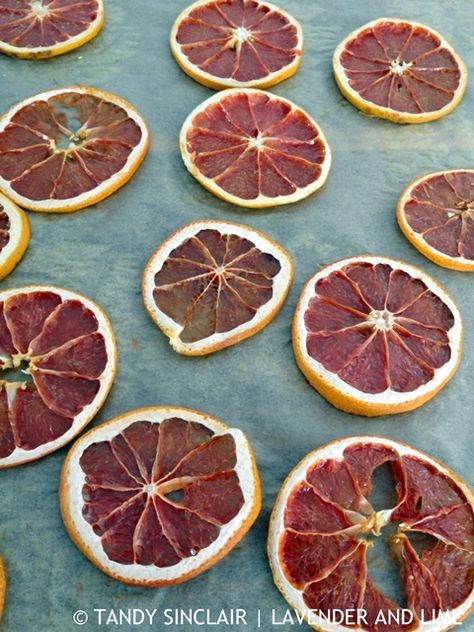 Grapefruit Uses, Grapefruit Recipes, Dried Citrus, Fruit Garnish, Canning Pickles, Potpourri Recipes, Dehydrated Fruit, Dried Oranges, Natural Christmas