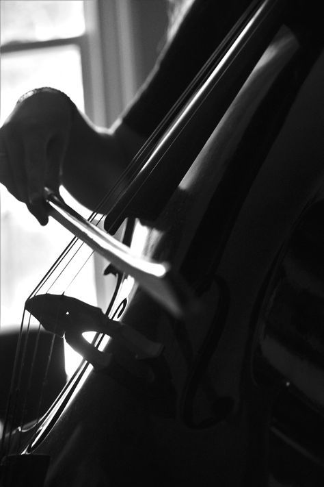 Wednesday Portrait, Water Manifestation, Cello Aesthetic, Violin Aesthetic, Cello Photo, Passion Girl, Cello Lessons, Wednesday Addams Cosplay, Electric Cello