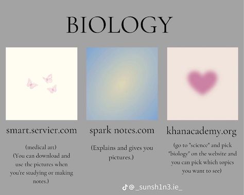 Biology Websites For Students, Study For Biology, Focus Study, Studie Hacks, Useful Apps, Management Organization, Studera Motivation, New Semester, Studying Tips