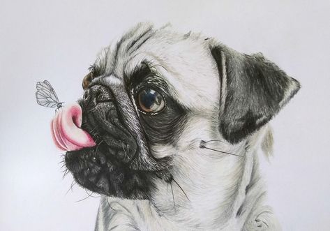 Happy Pug, Butterfly Sketch, Speed Drawing, Mineral Spirits, A Pug, Drawing Drawing, Sketch Ideas, Prismacolor Pencils, Stippling