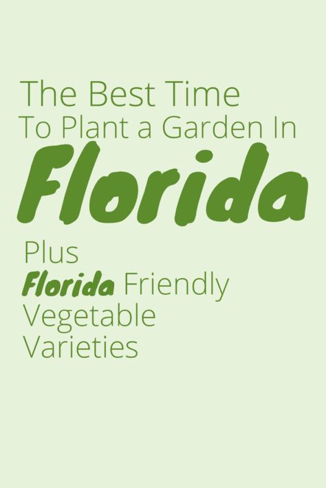 When To Plant Garden, Garden In Florida, Vegetable Planting Calendar, Start A Vegetable Garden, Homestead Florida, Gardening Tips For Beginners, Start A Garden, Garden Prepping, Plant A Garden