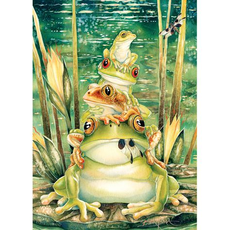 African Frogs, Frosch Illustration, Jody Bergsma, Frog Illustration, Earth Design, Frog Art, A Frog, Frog And Toad, Cute Frogs