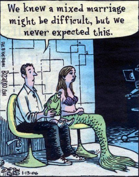 Mermaid cartoon I laughed harder at this than I should have lol Mermaid Jokes, Grandpa Jokes, Morning Jokes, Mermaid Humor, Bizarro Comic, Mermaid Cartoon, Funny Cartoon Pictures, Funny Cartoons Jokes, Mermaid Life