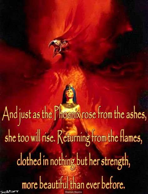 Rise as the Phoenix... Phoenix Meaning, Hateful People Quotes, Phoenix Aesthetic, Hateful People, Phoenix Party, Witchcraft Meaning, Phoenix Quotes, Grey Witch, Wicca Spells