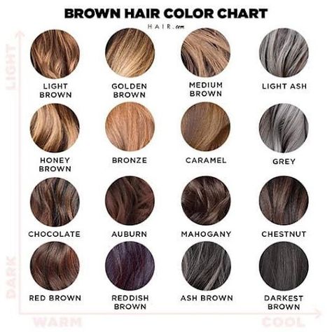 The Ultimate Brown Hair Color Chart | Hair.com By L'Oréal Mink Brown Hair Color, Brown Hair Names, Mouse Brown Hair, Brown Hair Chart, Color Chart Hair, Brunette Inspiration, Shades Of Brown Hair, Brown Hair Color Chart, Hair Chart