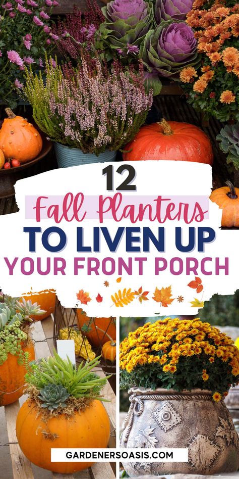 12 Front Porch Fall Planter Ideas | Outdoor Decorating Planter Ideas Outdoor, Fall Planter Ideas, Mum Planters, Mums And Pumpkins, Fall Flower Pots, Front Porch Flower Pots, Fall Pots, Front Porch Plants, Potted Mums