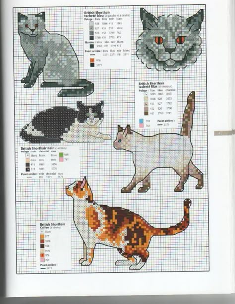 Cat Cross Stitch Charts, Cat Cross Stitches, Unique Cross Stitch, Cat Cross Stitch Pattern, Animal Cross Stitch Patterns, Cross Stitch Supplies, Pola Kristik, Cross Stitch Bookmarks, Mini Cross Stitch