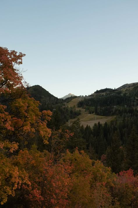 Fall California, Comfy Decor, October Sky, Fall Nature, Season Of The Witch, Best Seasons, Fall Weather, Autumn Cozy, Autumn Aesthetic