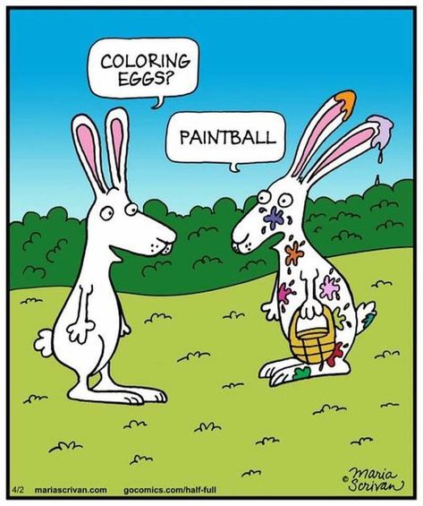 Funny Easter Jokes, Easter Pictures, Funny Easter Pictures, Easter Humor, Religious Jokes, Easter Jokes, Funny Easter Bunny, Easter Quotes, Funny Easter