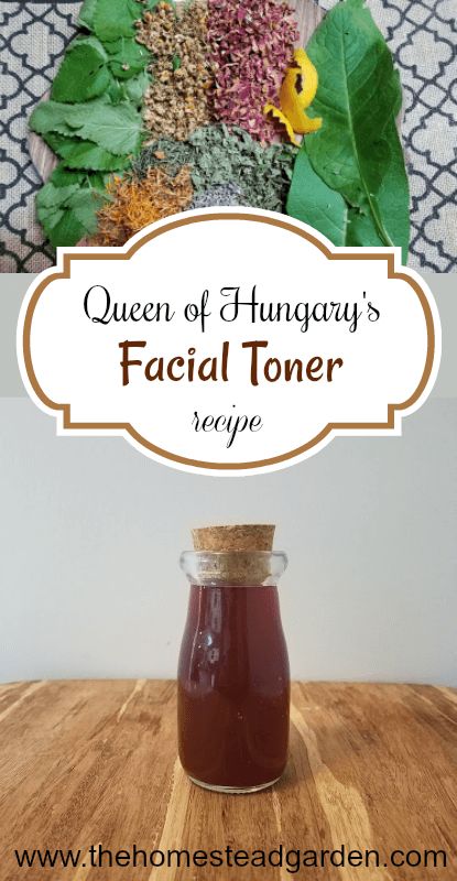 Queen of Hungary's Facial Toner Recipe www.thehomesteadgarden.com Rosemary Face Toner, Face Steam Herbs, Herbs For Facial Steaming, Recipes 3 Ingredients, Facial Toner Recipe, Diy Herbal Face Toner, Bathing Culture, Herbal Facial, Anti Aging Creme