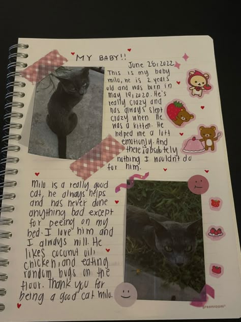 Journal Intro Page, Pet Journal, Journal Inspiration Writing, Bulletin Journal Ideas, Pretty Journals, Diy Journal Books, Art Journal Therapy, Cute Journals, Diary Ideas