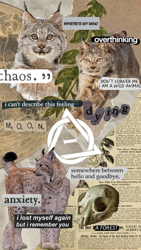 Lynx Therian, Therian Wallpaper, List Of Aesthetics, Funny Tapestry, Maybe In Another Life, Wolf Spirit Animal, Wolf Spirit, Cat Mask, I Dont Have Friends