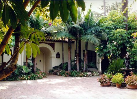 Mediterranean Exterior Design, Subtropical Garden, Tropical Backyard Landscaping, Mediterranean Gardens, Palm Trees Landscaping, Mediterranean Exterior, Plant Palette, Florida Garden, Brick Paving