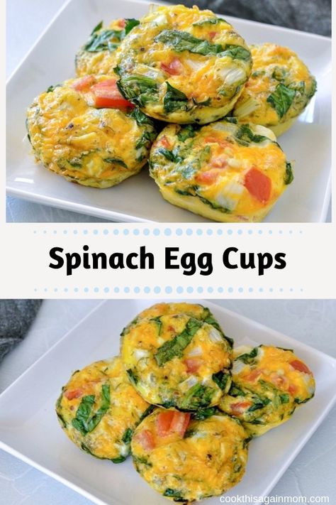 Spinach Egg Cups, Fettuccini Noodles, Egg Muffin Cups, Spinach Muffins, Egg Cups Breakfast, Spinach Tomato, Easy Family Recipes, Gf Breakfast, Croissant Recipe