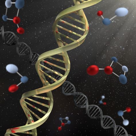 Dna Micro Technology - Free image on Pixabay What Is Dna, Genetic Inheritance, Genetic Algorithm, Problem Statement, Dna Sequence, Human Genome, Human Dna, Egyptian Mummies, Nucleic Acid