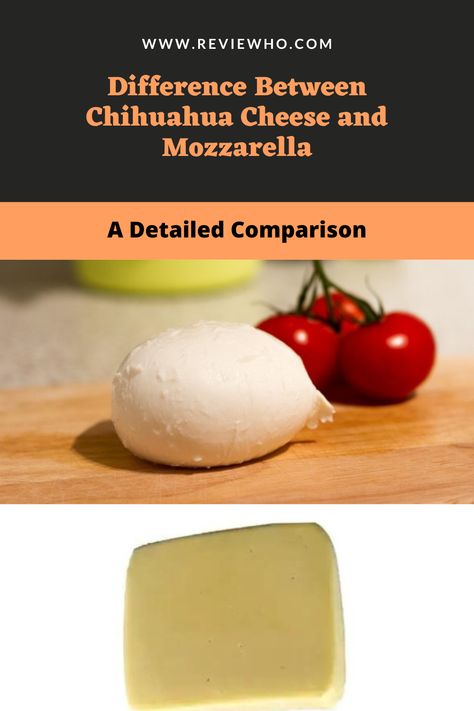 We have prepared a brief and informative post to discuss Chihuahua cheese vs. mozzarella in different aspects. This post should include everything you need to know about their differences. Chihuahua Cheese, Mozzarella, Chihuahua, Need To Know, Cheese