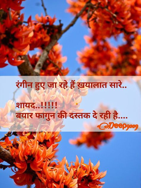 #holi #festivalofcolors #indianfestivals #hindishayari #shayari #shayaripics Holi Pic, Holi Quotes, Happy Holi Quotes, Hindi Poem, One Word Instagram Captions, Holi Wishes, Holi Special, Holi Celebration, Birthday Banner Design