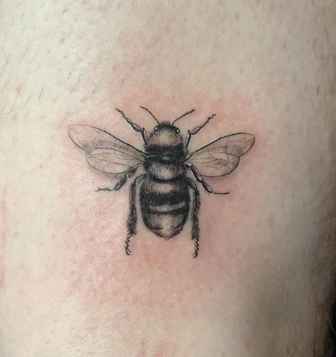 Bee Tattoo Manchester, Confidence Tattoo, Small Bee Tattoo, Honey Bee Tattoo, Charm Tattoo, Prince Tattoos, Hawk Tattoo, Bug Tattoo, Cute Little Tattoos