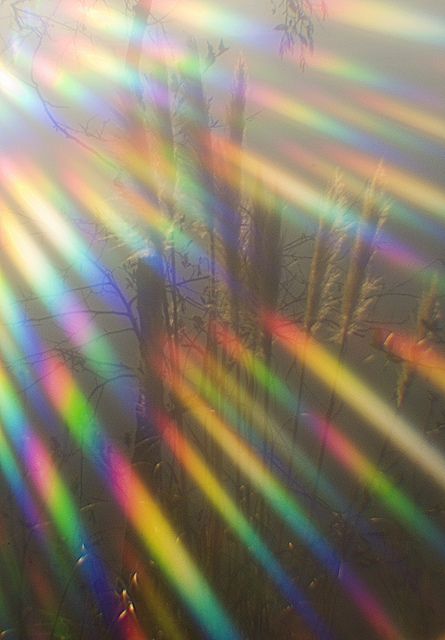 Rainbow Prism Aesthetic, Rainbow Lens Flare, Rainbow Moodboard, Diffraction Grating, Kaleidoscope Eyes, Colour Aesthetic, Cameron Smith, Bug Screen, Healing Center