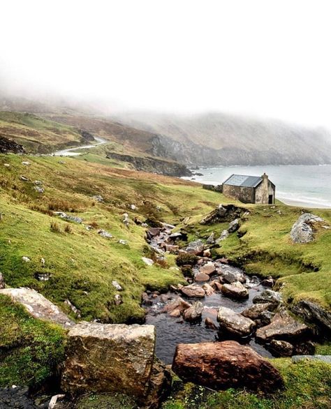 Irish Beach, Ireland Road Trip, Vision Board Images, Irish Cottage, Cottage By The Sea, Animal Stories, Countries Around The World, Most Beautiful Beaches, British Isles