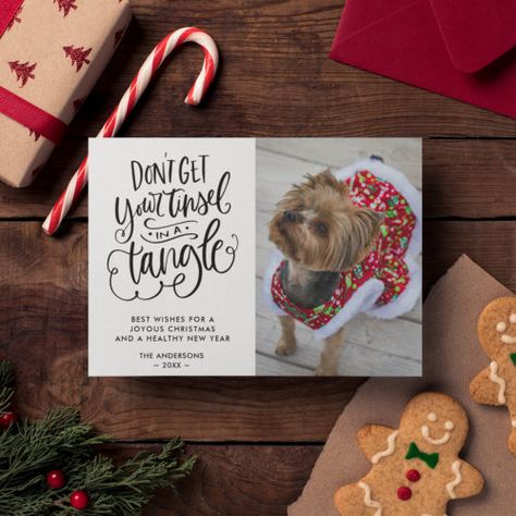 Tinsel In A Tangle Funny Dog Pet Photo Christmas Holiday Card #zazzle #weddinginvitations #birthdayinvitations #babyshowerinvitations #zazzleinvitations #monogram #businesscards #graduation #homedecor Tangled Funny, Christmas Quote, Christmas Pet, Holiday Design Card, Dog Photo, Funny Christmas Cards, Christmas Funny, Photo Christmas, Christmas Holiday Cards