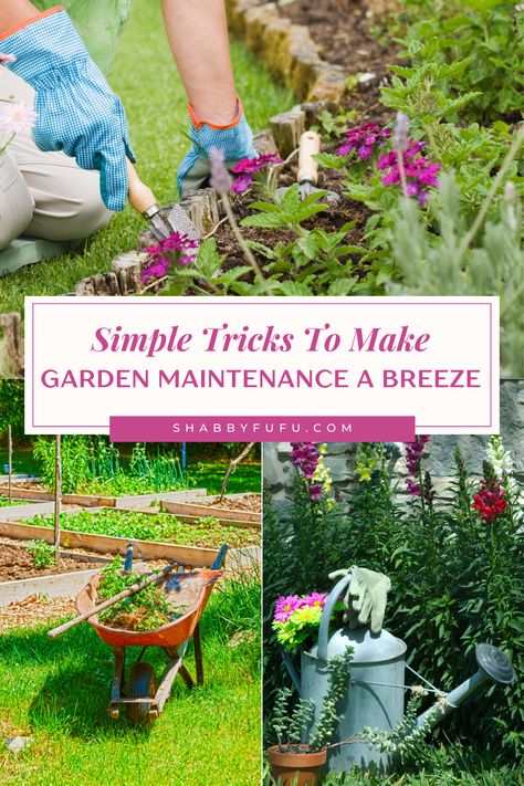 Simple Tricks To Make Garden Maintenance A Breeze Garden Maintenance Tips, Growing Green Beans, Planting Marigolds, Growing Greens, Drip Irrigation System, Water Bill, Covered Garden, Garden Maintenance, Square Foot Gardening