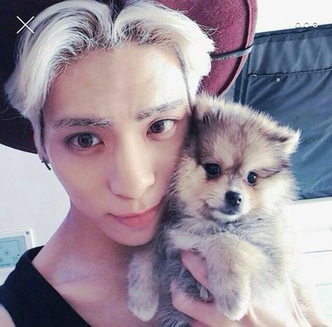 His eyebrows match the dogs hair XD Shinee Debut, Onew Jonghyun, Shinee Jonghyun, Choi Min Ho, Kim Kibum, E Dawn, Lee Taemin, Vixx, Rest In Peace