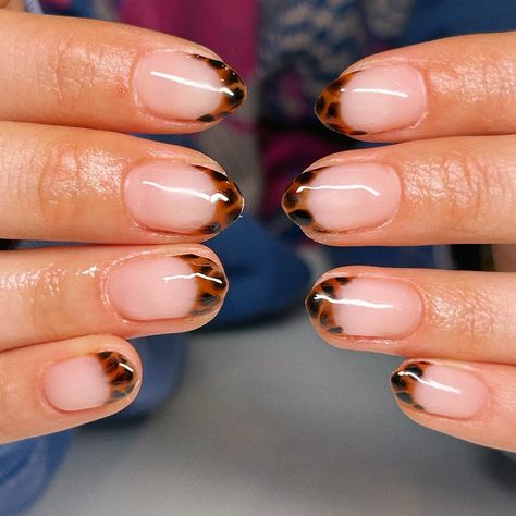 Ya these are attractive  tortoise shell blooming gel nails french tip torties aesthetic tortoiseshell nails black and brown golden hour simple classy nails pretty nail art 2024 november nails inspo Cute Nail Ideas November, Oval Tortoise Nails, Tortoise Shell French Tip Nails Square, Cute Nails For November, French Tip Tortoise Shell Nails, Tortoise Nails French Tip, Tortoise Shell Tip Nails, Brown Funky Nails, Blooming Gel Nails French Tip