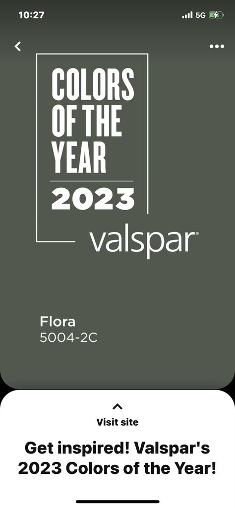 Flora Valspar Paint, Valspar Flora Paint, Flora By Valspar, Flora Valspar, Moody Bedroom Paint, Florida Bedroom Ideas, Homes Design Ideas, Florida Bedroom, Valspar Paint Colors