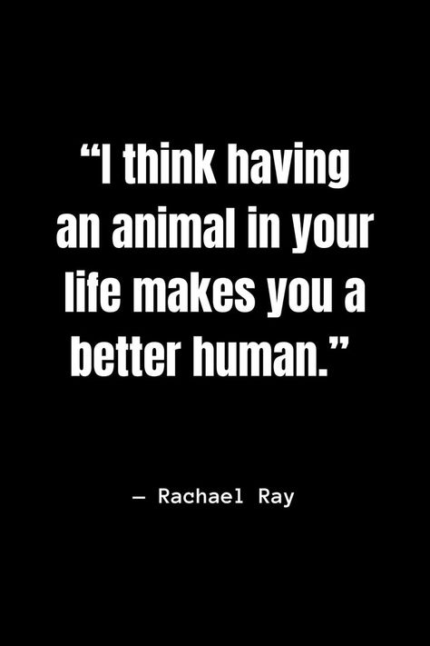 I think having an animal in your life makes you a better human. #AnimalConnection #BetterHumans #AnimalFriendship #UnconditionalLove #quotesaboutanimals  #dogs #puppies #quotes #funnyquotes #funnydogs #animals #pets #cats #kittens #doge Save Animals Quotes, Quotes About Pets, Quotes About Animals, Puppies Quotes, Surrender Quotes, Attachment Quotes, Pets Quotes, Animal Love Quotes, Animal Lover Quotes