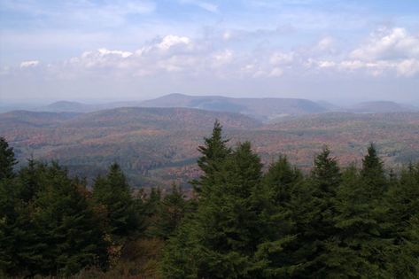 Then look out at the stunning view. If you wait until autumn to take the trip, you will find the most amazing color palette laid out before you. Make sure you have packed a sandwich so you can say you had lunch on top of the world. Spruce Knob is accessible by a trail at the end of Route 104, where the road becomes a loop that connects back to the direction you came. Foothills Trail, Allegheny Mountains, Long Trail, Big Bend National Park, Appalachian Mountains, Appalachian Trail, Big Bend, On The Road Again, Best Hikes