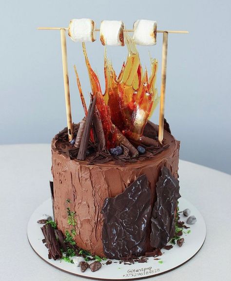 Camping Cake Ideas, Camping Theme Cakes, Bonfire Cake, Camping Cake, Campfire Cake, Fire Cake, Camping Cakes, Cake Decorating Designs, Crazy Cakes