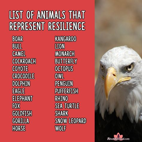 animals, recilience, symbolism Animals That Represent Strength, Animal That Represents Strength, Squirrel Spirit Animal Meaning, Animal Guides Spiritual, Animals And Their Spiritual Meanings, Glimmer Of Hope, Shadow Work Spiritual, Spirit Animal Meaning, Animal Communication